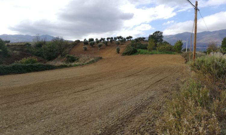 Terreno Agricolo – San Vincenzo la Costa