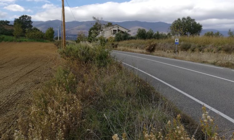 Terreno Agricolo – San Vincenzo la Costa