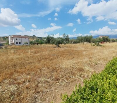 Terreno Edificabile Taverna