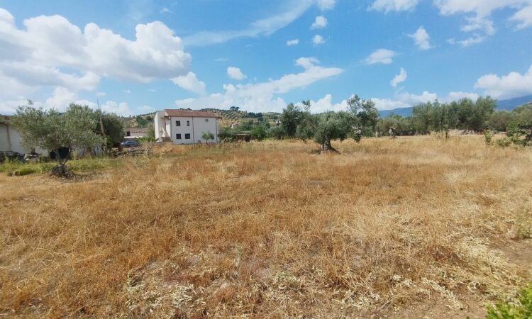 Terreno Edificabile Taverna