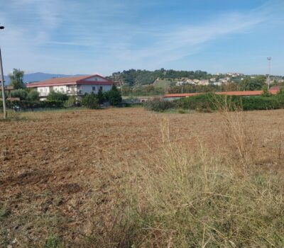 Terreno edificabile Settimo di Montalto Uffugo