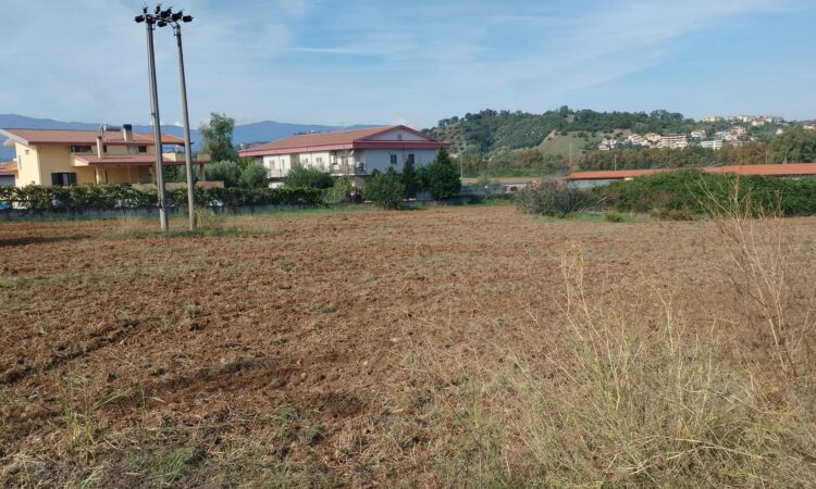 Terreno edificabile Settimo di Montalto Uffugo