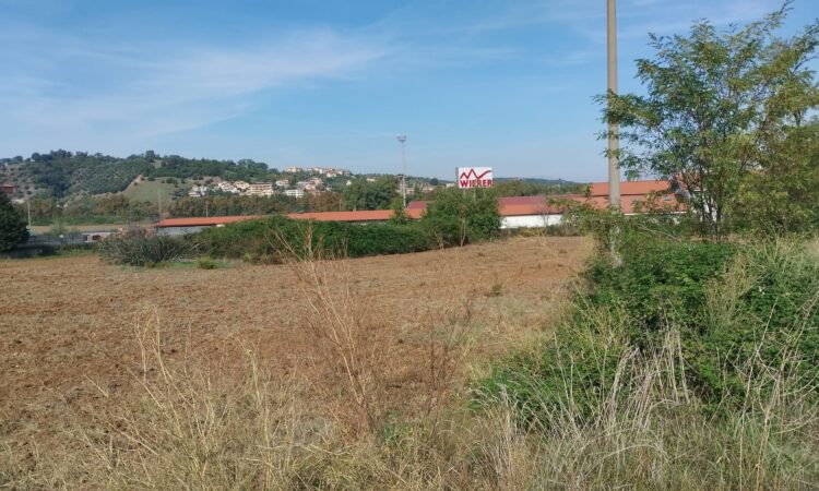 Terreno edificabile Settimo di Montalto Uffugo