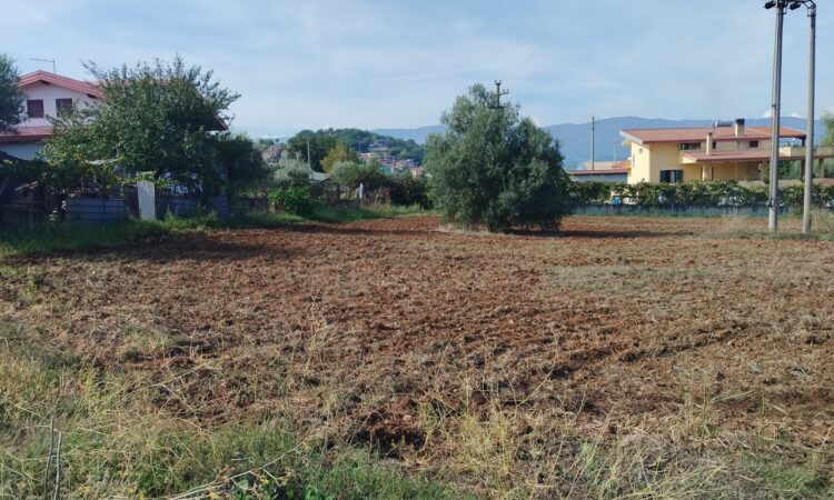 Terreno edificabile Settimo di Montalto Uffugo